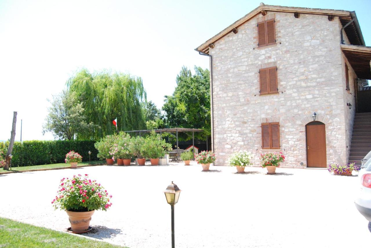 Agriturismo"Il Sagrato Di Assisi" Appartamenti,Camere Экстерьер фото