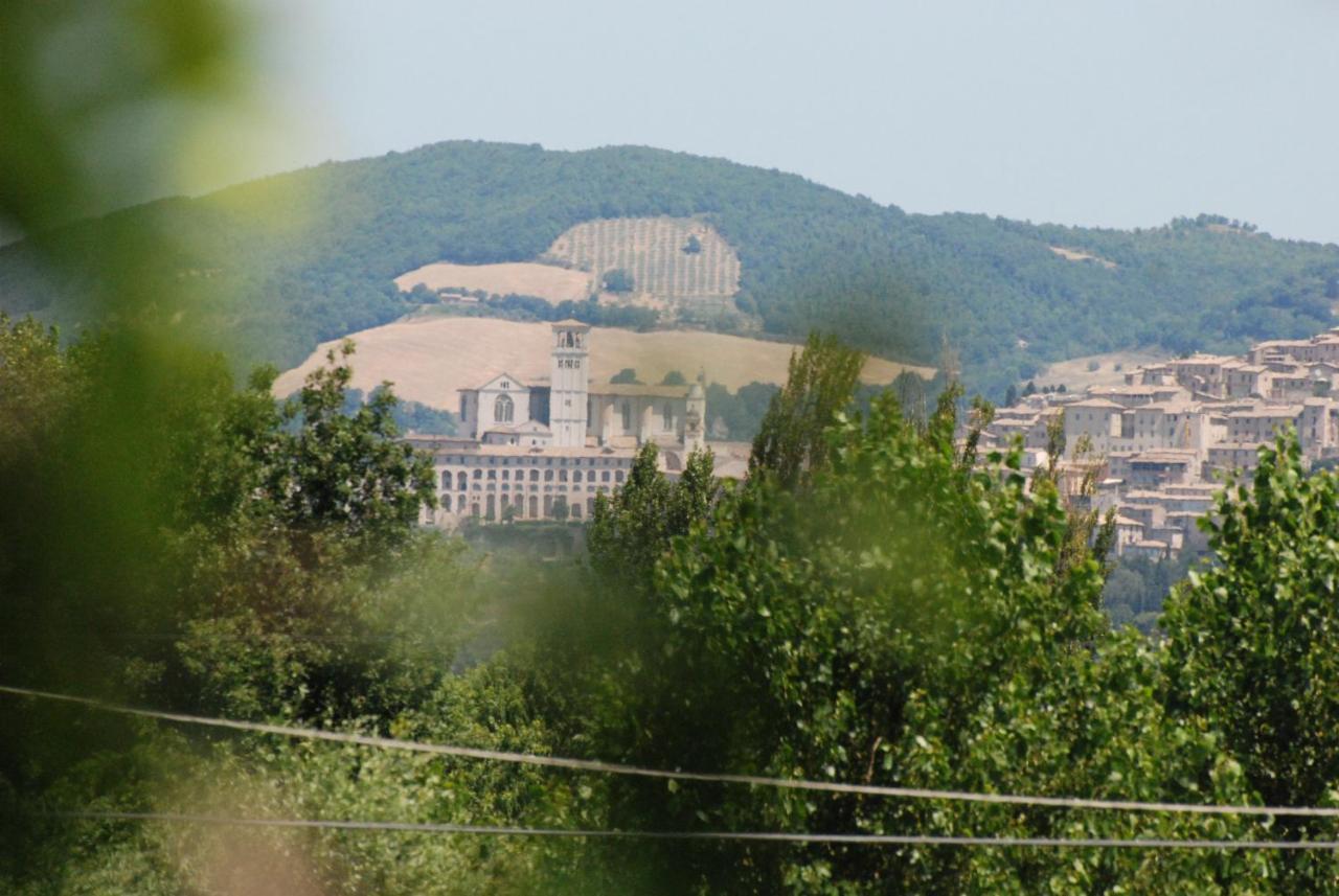 Agriturismo"Il Sagrato Di Assisi" Appartamenti,Camere Экстерьер фото