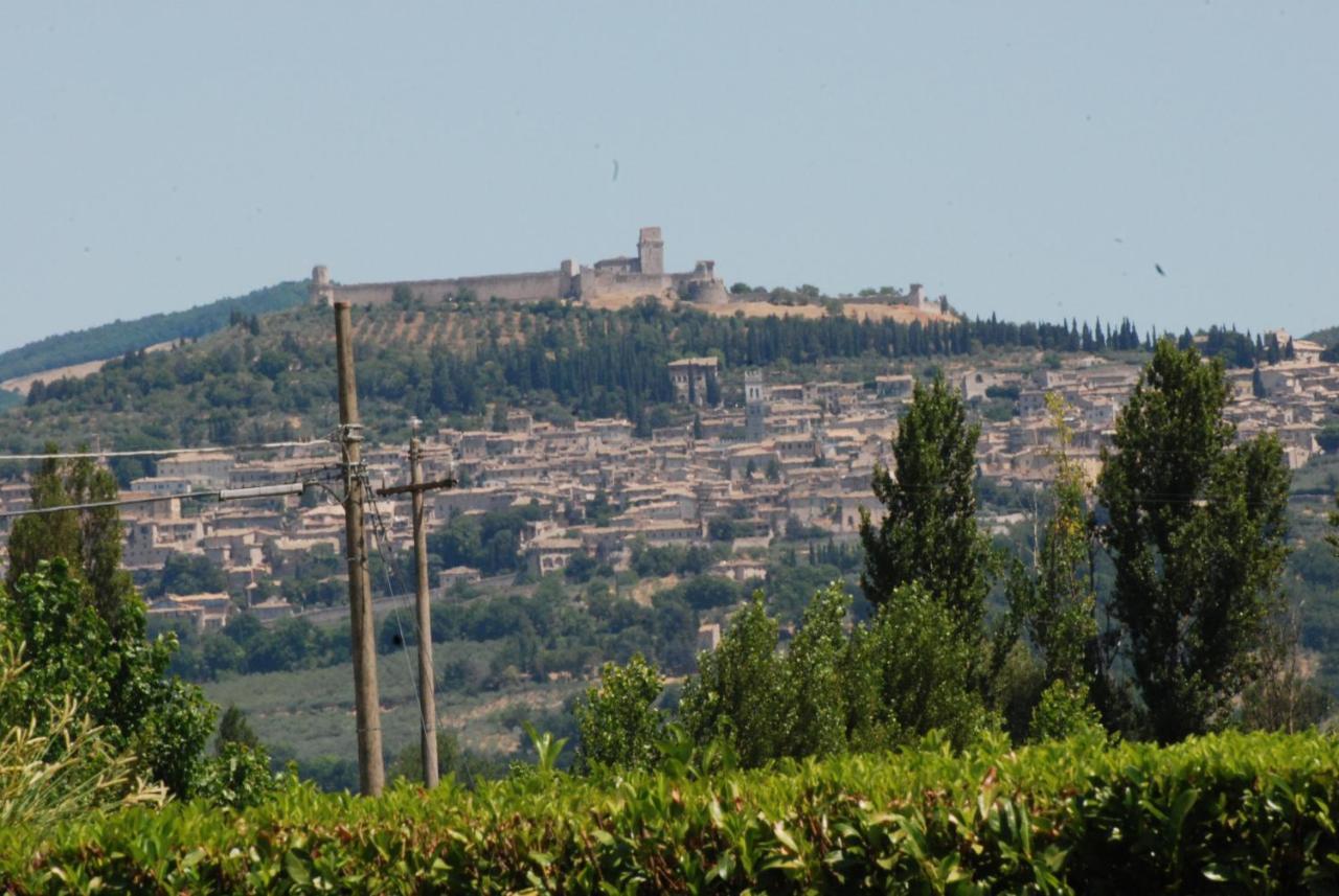 Agriturismo"Il Sagrato Di Assisi" Appartamenti,Camere Экстерьер фото