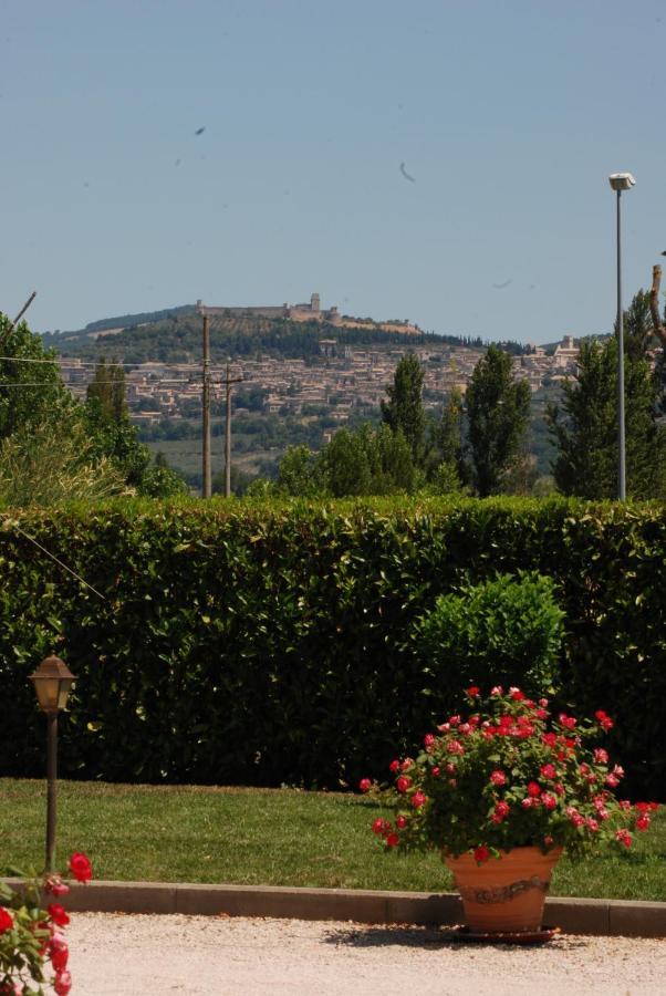 Agriturismo"Il Sagrato Di Assisi" Appartamenti,Camere Экстерьер фото