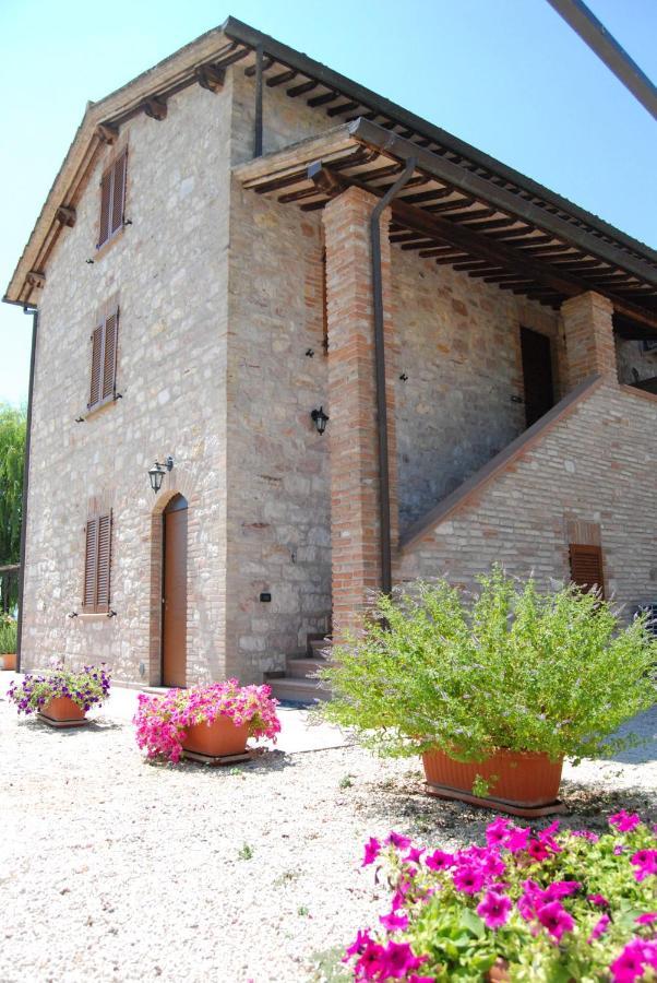 Agriturismo"Il Sagrato Di Assisi" Appartamenti,Camere Экстерьер фото