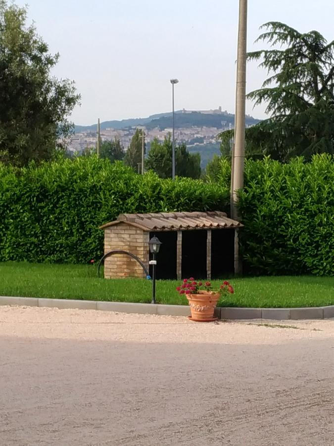 Agriturismo"Il Sagrato Di Assisi" Appartamenti,Camere Экстерьер фото