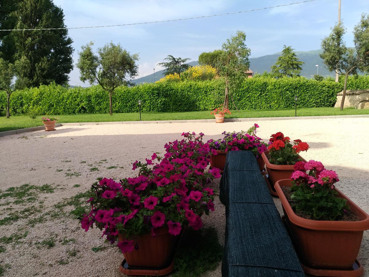 Agriturismo"Il Sagrato Di Assisi" Appartamenti,Camere Экстерьер фото