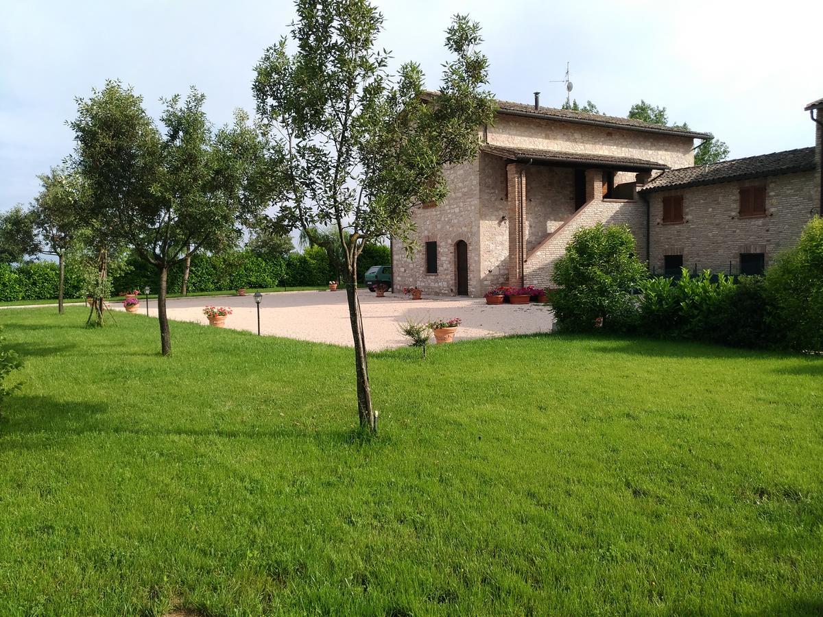 Agriturismo"Il Sagrato Di Assisi" Appartamenti,Camere Экстерьер фото