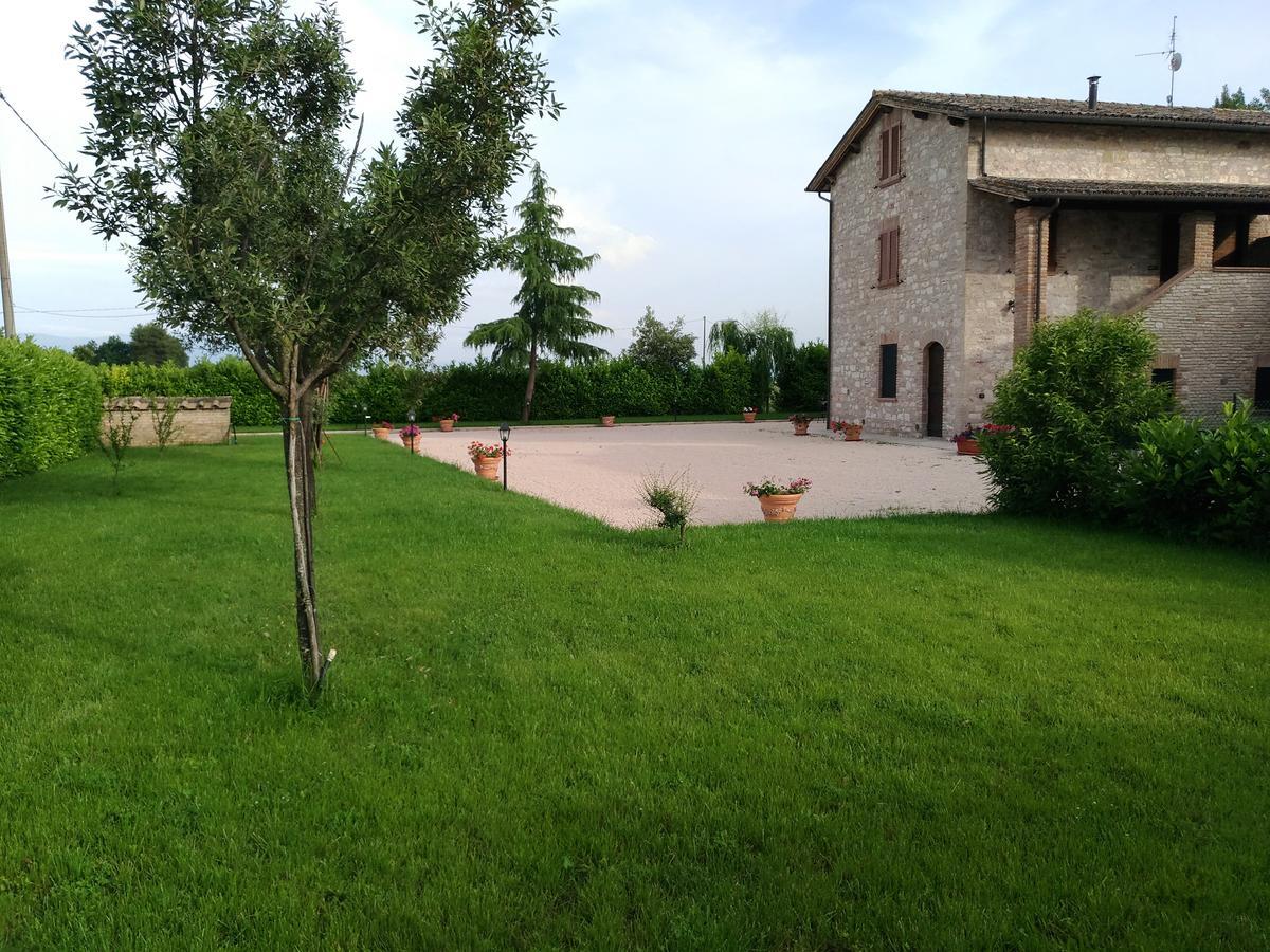 Agriturismo"Il Sagrato Di Assisi" Appartamenti,Camere Экстерьер фото