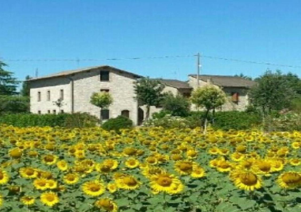 Agriturismo"Il Sagrato Di Assisi" Appartamenti,Camere Экстерьер фото